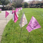 Sexual Assault Awareness Week