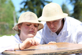 Linfield College biology research