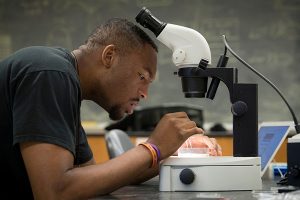 Jordan Clark studies under Chad Tillberg