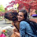 Llama therapy