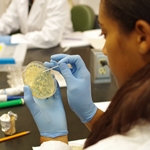 Linfield College biology lab