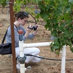 Sherry Harrington '15