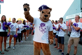 Linfield College Cat Camp