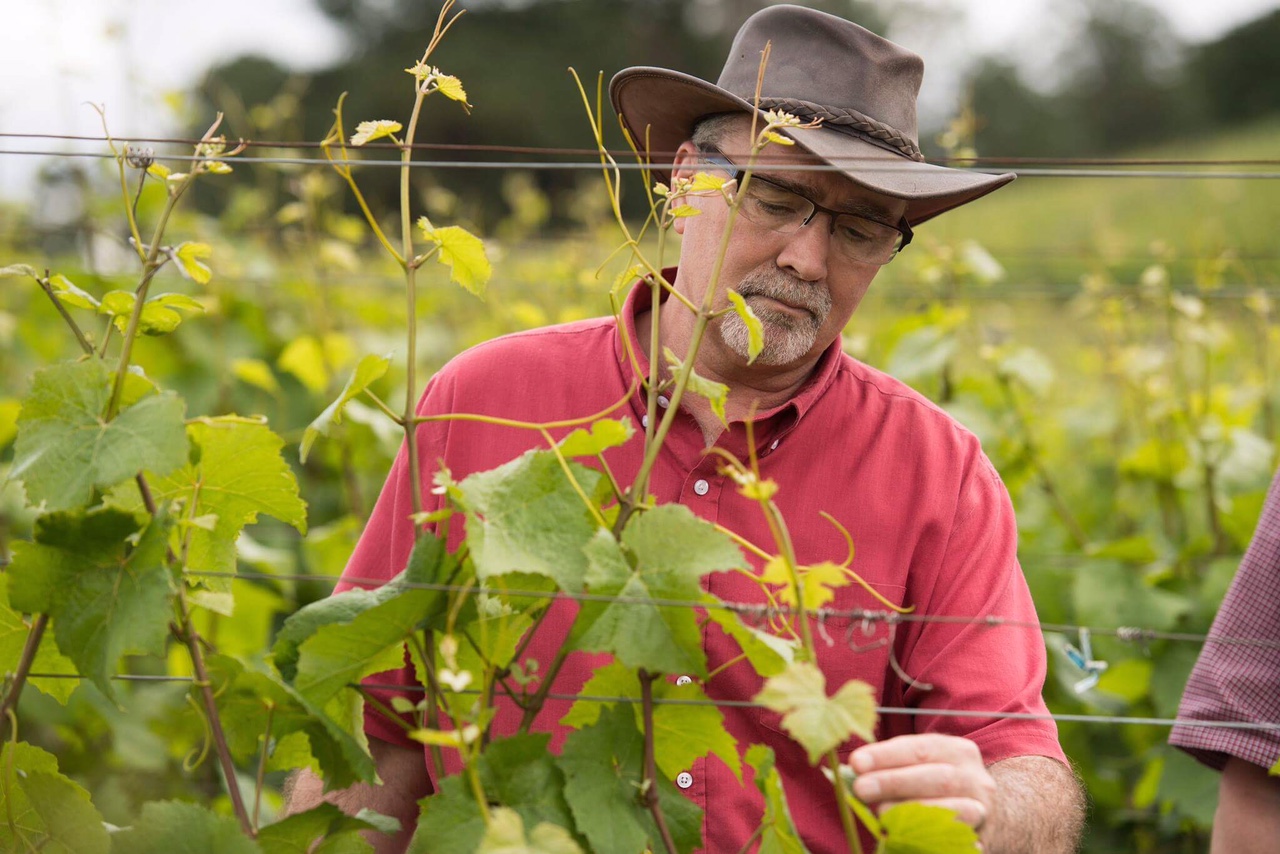 Gregory V. Jones with vines