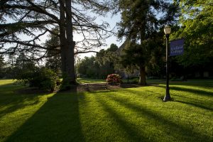 Linfield College Oak Grove