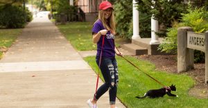 A student walks a cat on a leash