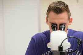 Associate Professor of Biology Chad Tillberg and a few students perform summer research.