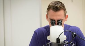 Associate Professor of Biology Chad Tillberg and a few students perform summer research.