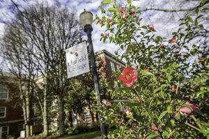 Linfield College campus