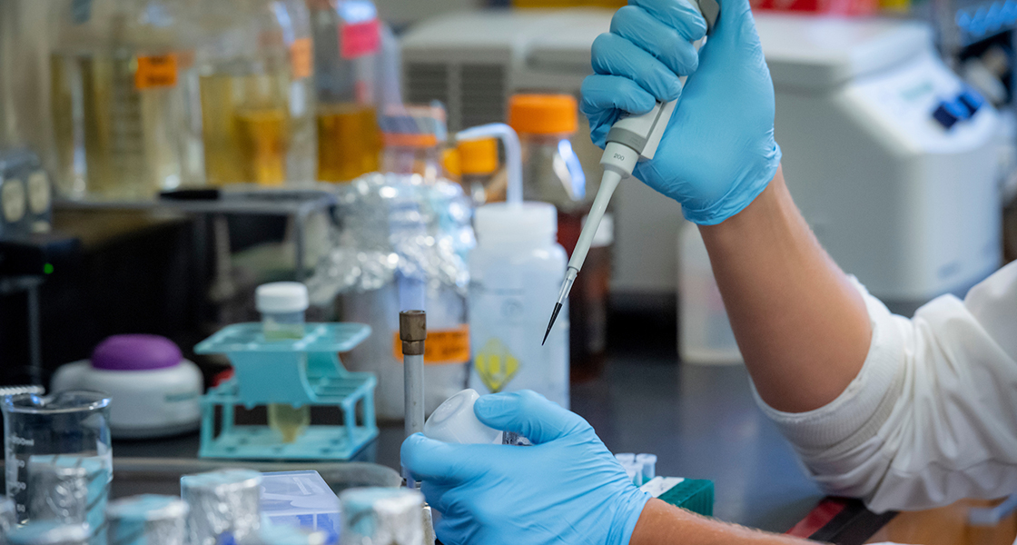 Summer research at Linfield College