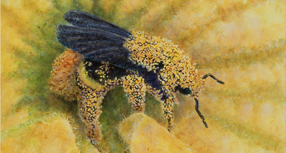 As the Bee Sees: A Pollinator's Perspective by artist Susan Curington
