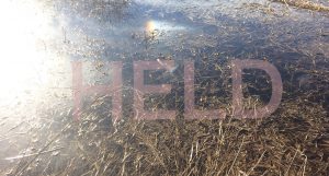 Artist Marianne Copene exhibit