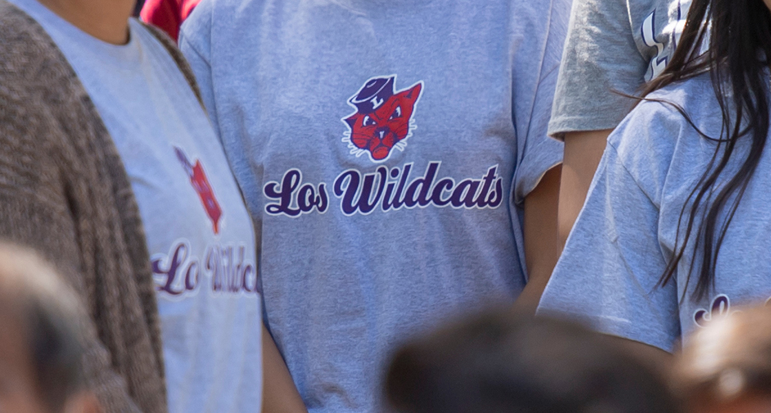Los Wildcats