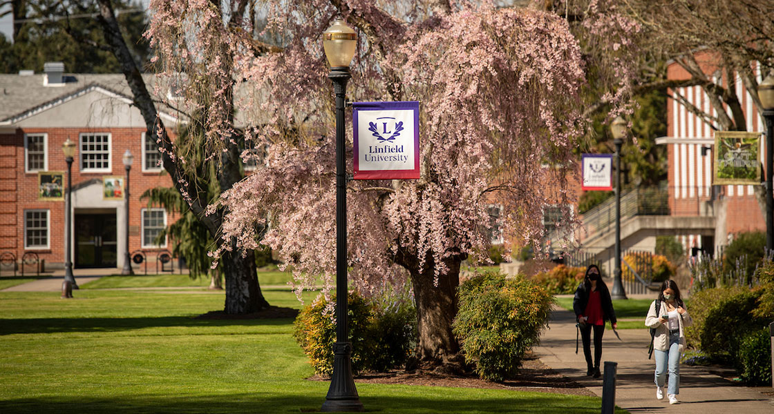 Linfield Trustees to Consider Adding Faculty Representatives to Board