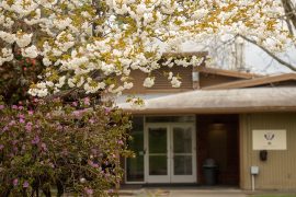 Linfield School of Nursing campus in the spring