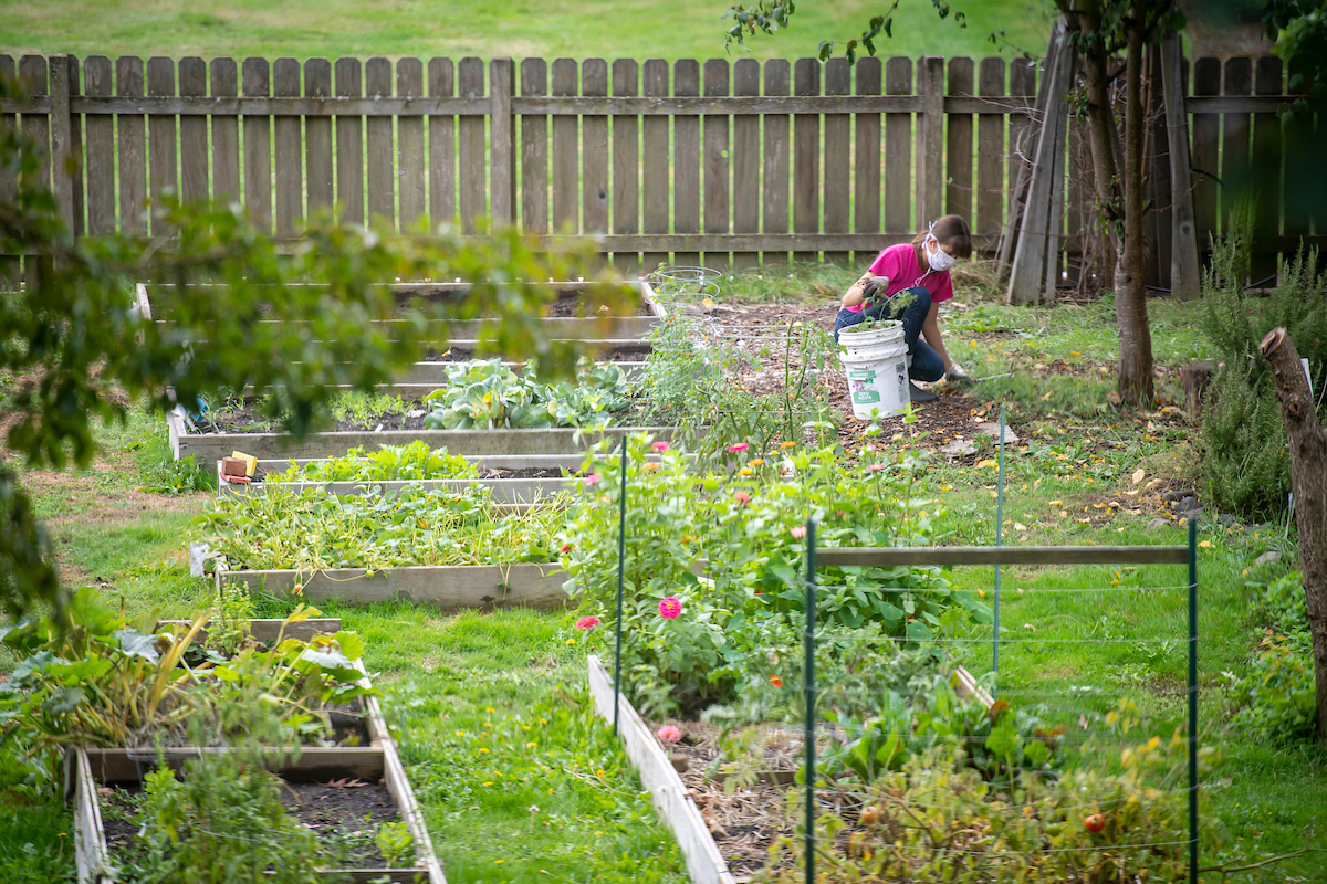 Student works in the Linfield Garden