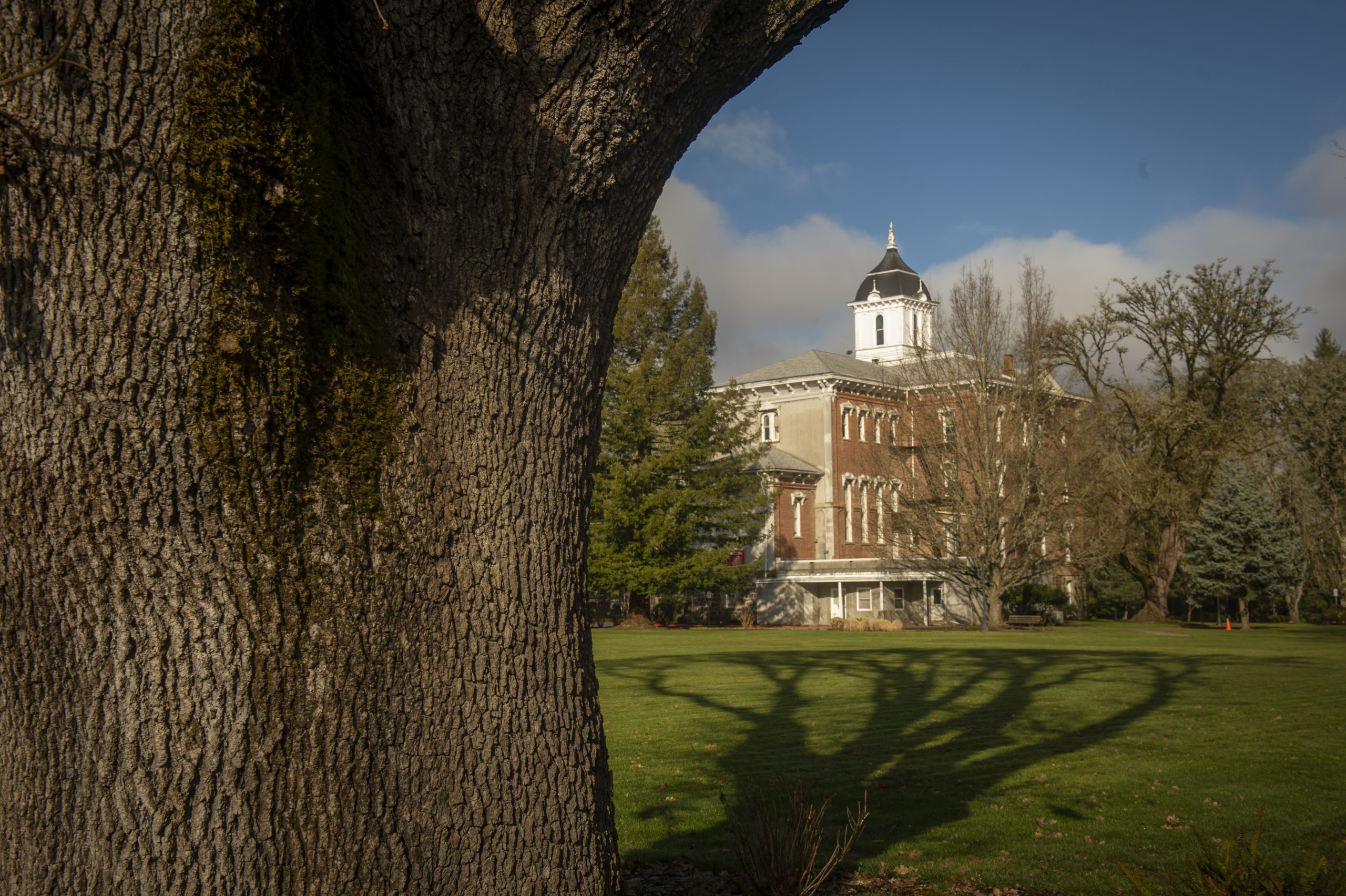 Scenic photo of Linfield University McMinnville campus.