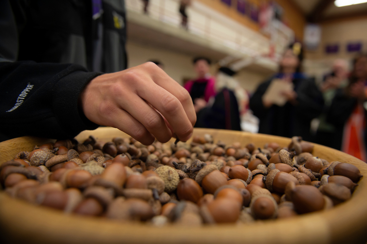 Tradition of the acorn