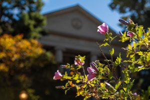 Flowers in front of an academic building
