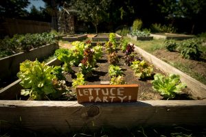 Lettuce party sign at Linfield Garden
