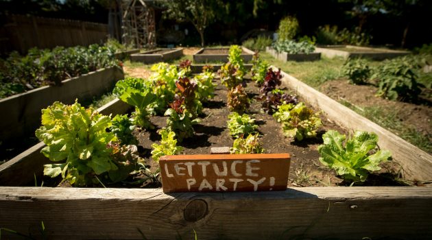 Lettuce party sign at Linfield Garden