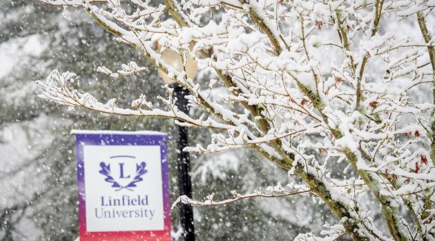 Linfield University pole banner next to snowy tree branches