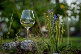 A wine glass etched with 'Linfield University'
