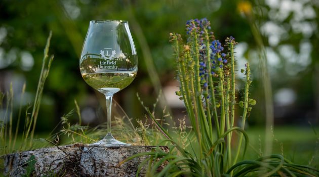 A wine glass etched with 'Linfield University'