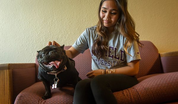 A student pets her pug in a Linfield apartment.