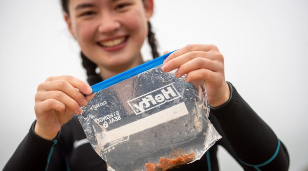 Hanali Bennick studies sea stars on the coast