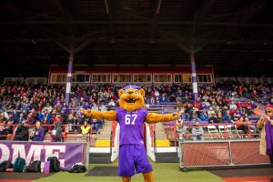 Mack the Wildcat poses with his arms in the air