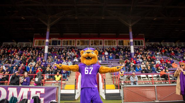 Mack the Wildcat poses with his arms in the air
