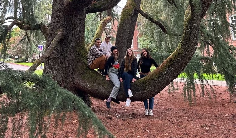 A group of students sit on sprawling branches on a Cedar of Lebanon tree. 