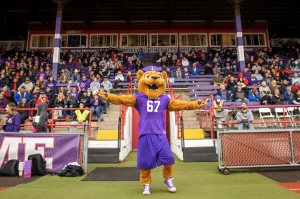 Mack the Wildcat, Linfield's mascot, runs onto the football field with a '67' jersey, signifying 67 consecutive winning seasons. 