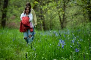 Camas Festival tour of Cozine Creek