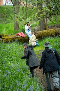 Camas Festival tour of Cozine Creek