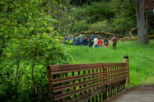 Camas Festival tour of Cozine Creek