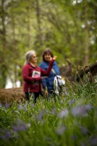 Camas Festival tour of Cozine Creek