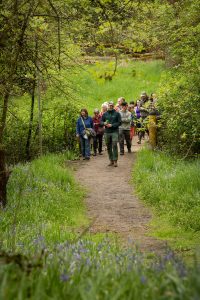 Camas Festival tour of Cozine Creek