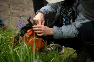 Camas Festival tour of Cozine Creek