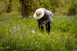 Camas Festival tour of Cozine Creek