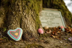 Painted river rocks are nestled in a tree root during Linfield University Majestic Tree Week.