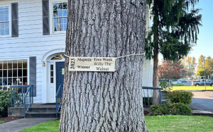 A tree has a wooden sign that says 2023 Majestic Tree Week Winner: Willy the Walnut.