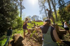Students pull invasive species out of the Cozine Creek Natural Area