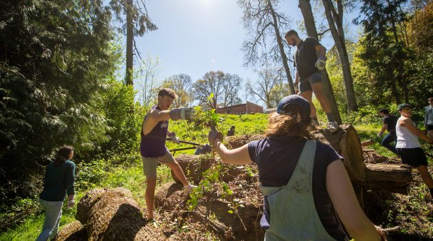 Students pull invasive species out of the Cozine Creek Natural Area