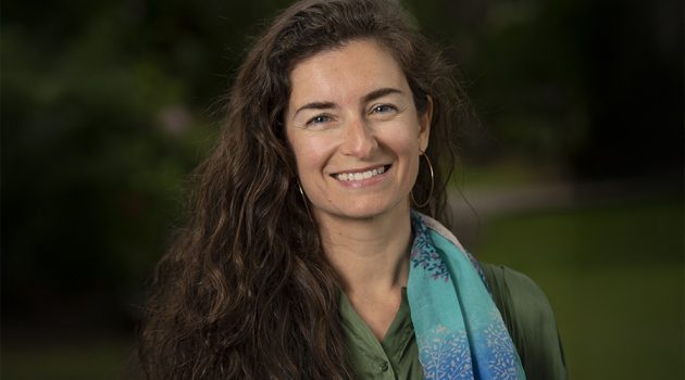 Professor Sandra Elena Terra