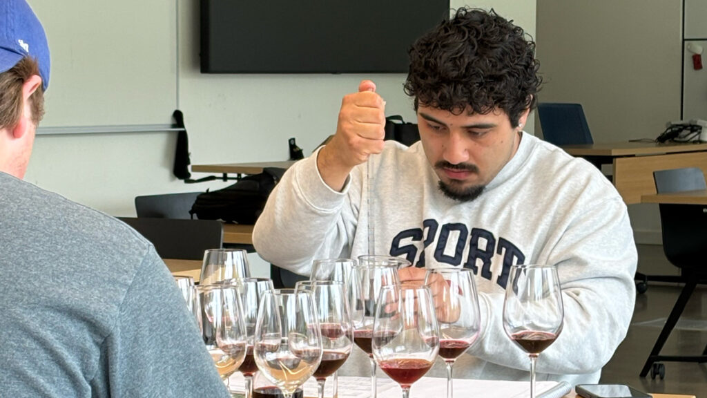 Undergraduate student measures wine in a pipette with several glasses of red wine on a table in front of him.